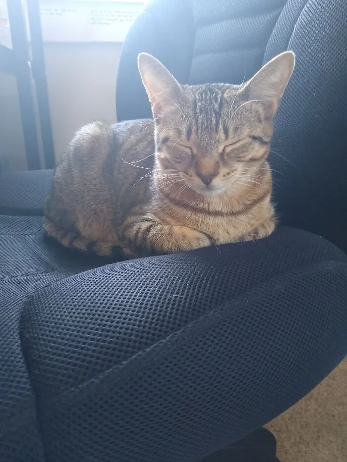 Sydney Loaf 🍞 ❤️