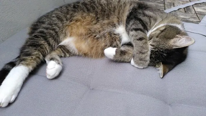 Snuggly