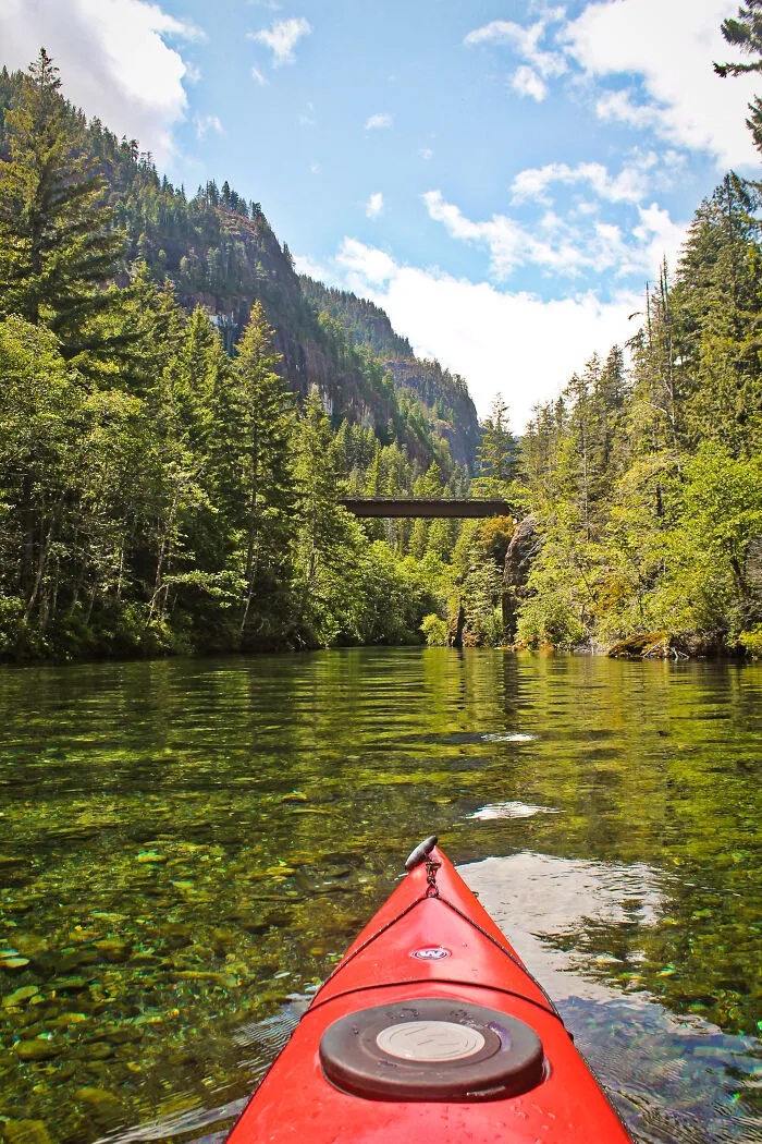 Midsummer Kayak On The West Coast