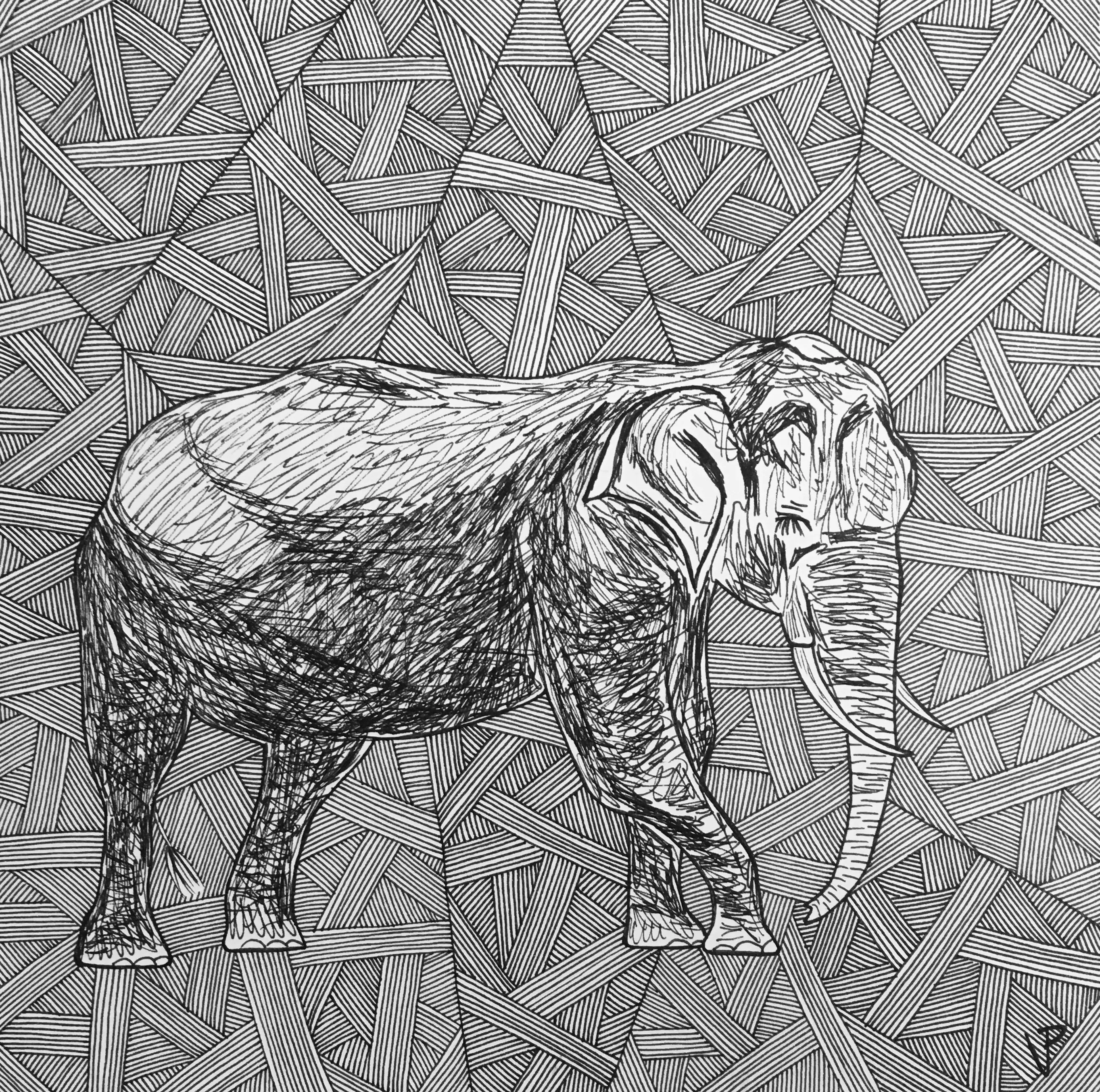 No More Elephant Blood! I Drew These Illustrations To Bring Attention To Ivory Trade