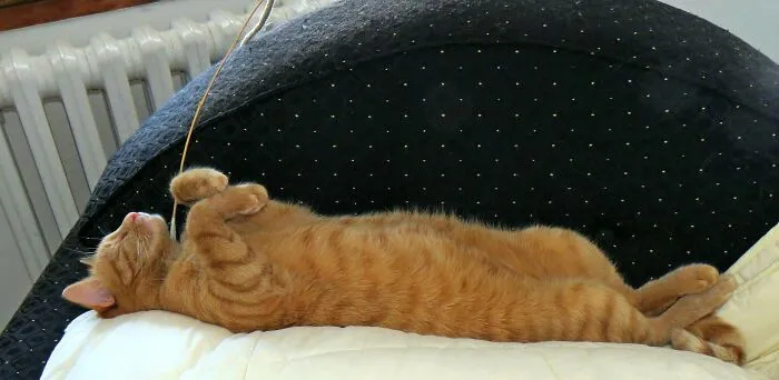 My Very Sleepy Handsome Boy 🥰