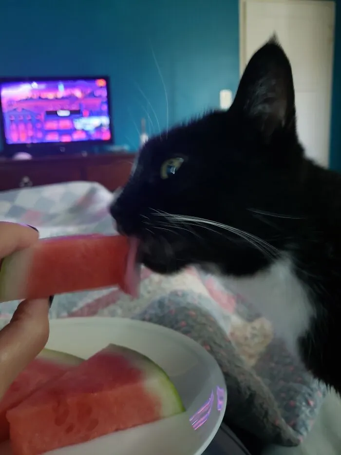 So Tasty