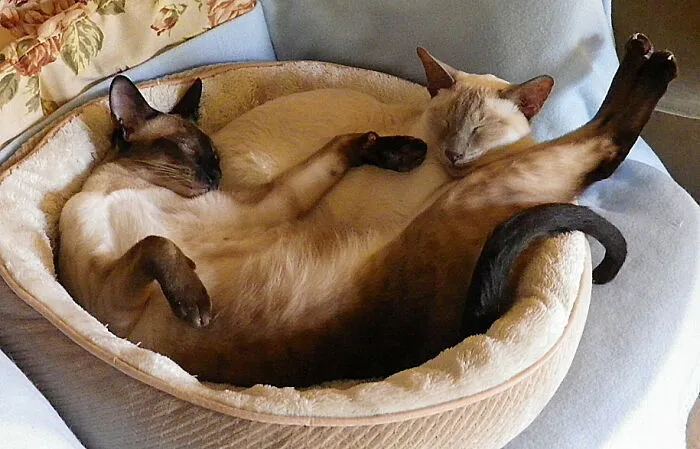 Laid Back.