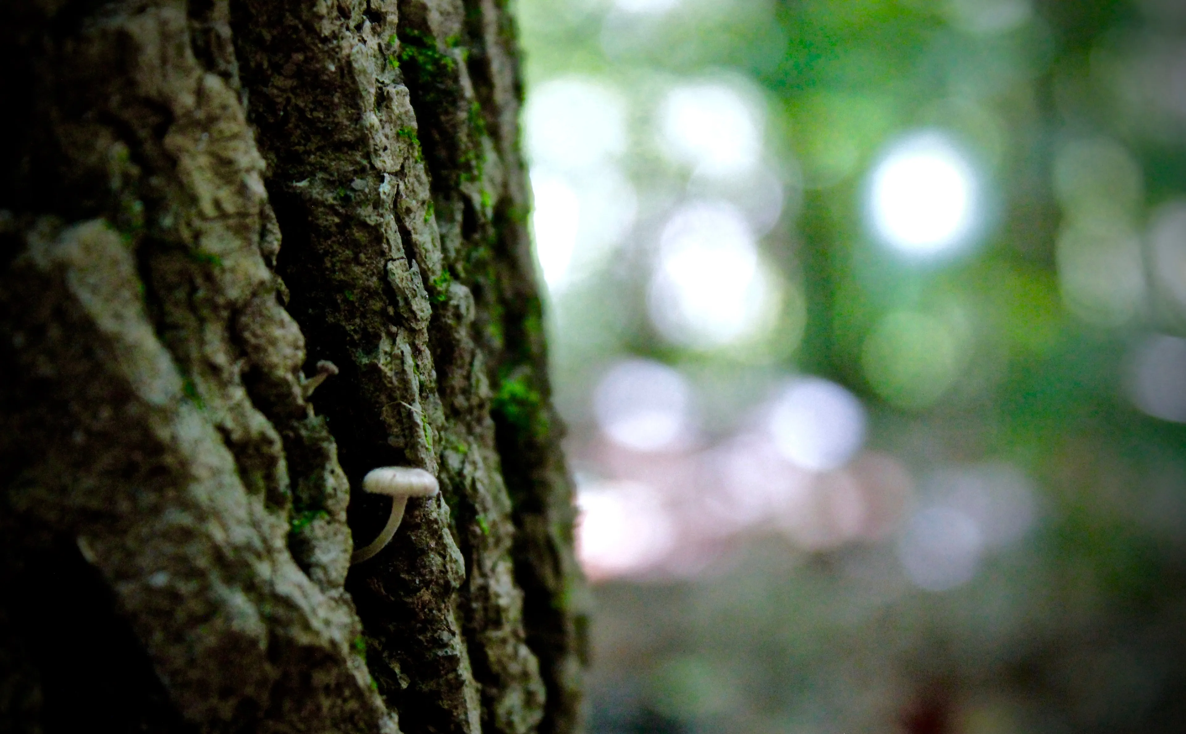 Getting Back Into Photography To See The Overlooked
