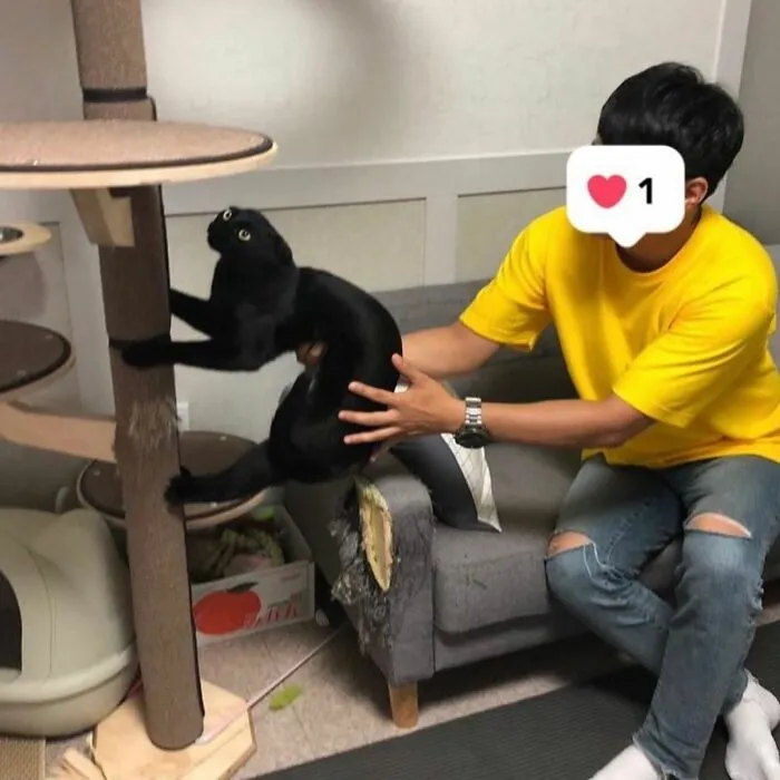 This Black Cat Is So Adorable And Quirky He’s Taking Over Instagram (40 Pics)