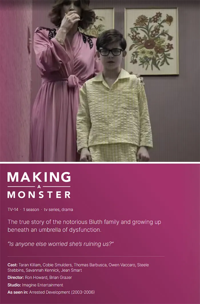Designer Created 79 Fake Funny Movies, TV Shows And A Website To Parody Netflix