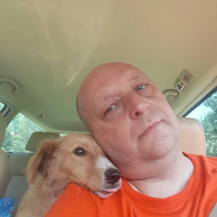 Serbian Man Started A Shelter With His Mother Over 20 Years Ago, Now He's Taking Care Of More Than A Thousand Dogs