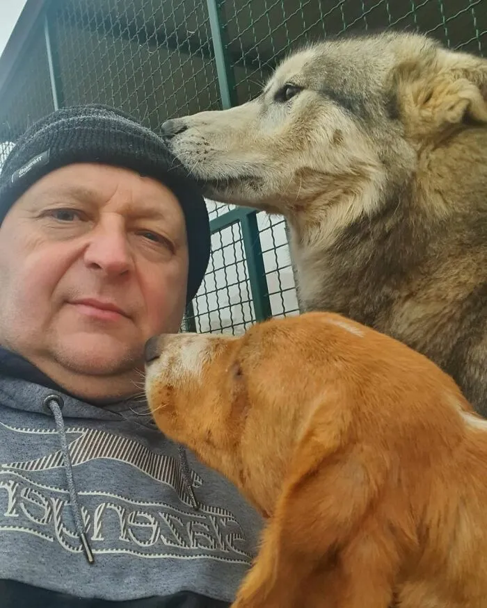 Serbian Man Started A Shelter With His Mother Over 20 Years Ago, Now He's Taking Care Of More Than A Thousand Dogs