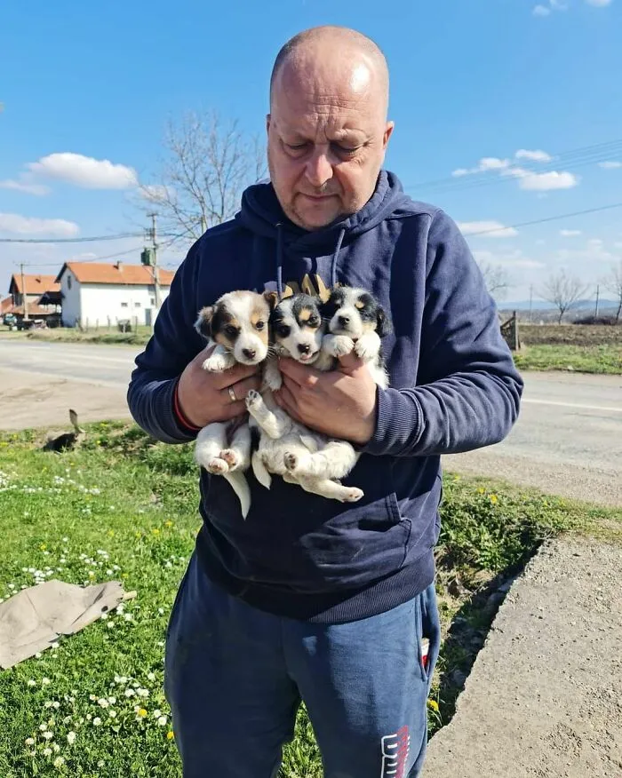 Serbian Man Started A Shelter With His Mother Over 20 Years Ago, Now He's Taking Care Of More Than A Thousand Dogs