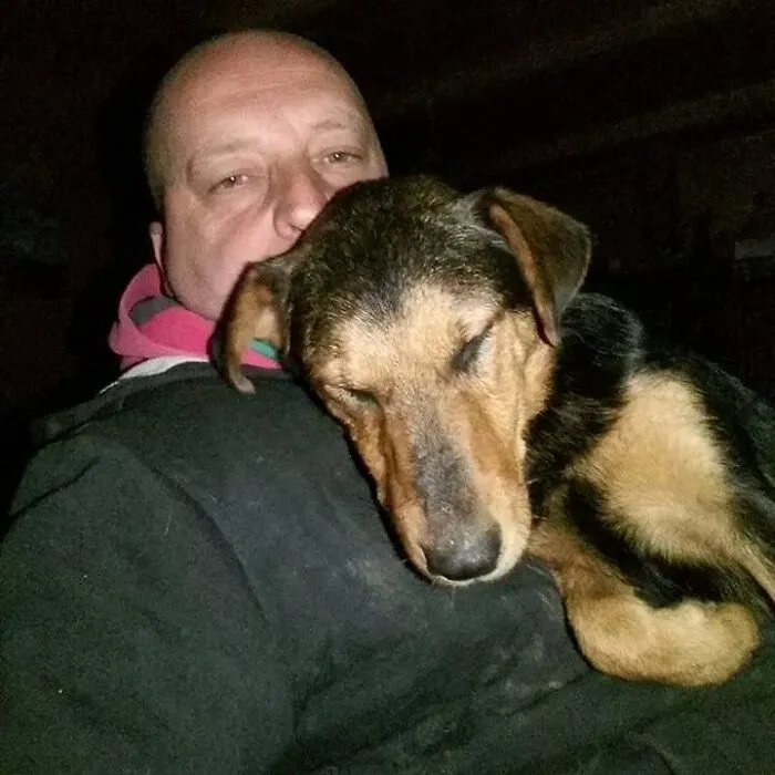 Serbian Man Started A Shelter With His Mother Over 20 Years Ago, Now He's Taking Care Of More Than A Thousand Dogs