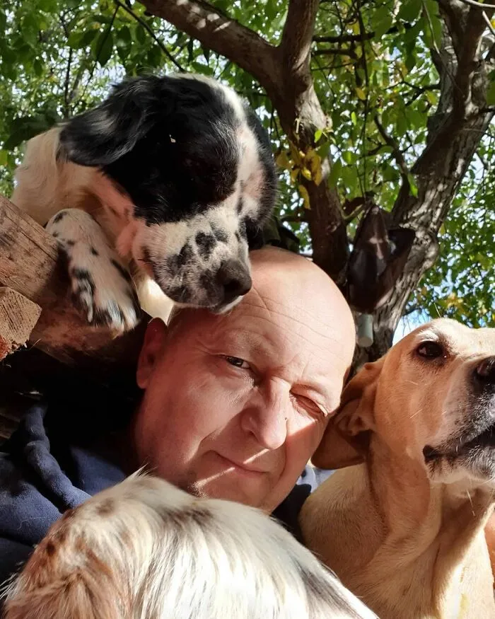 Serbian Man Started A Shelter With His Mother Over 20 Years Ago, Now He's Taking Care Of More Than A Thousand Dogs