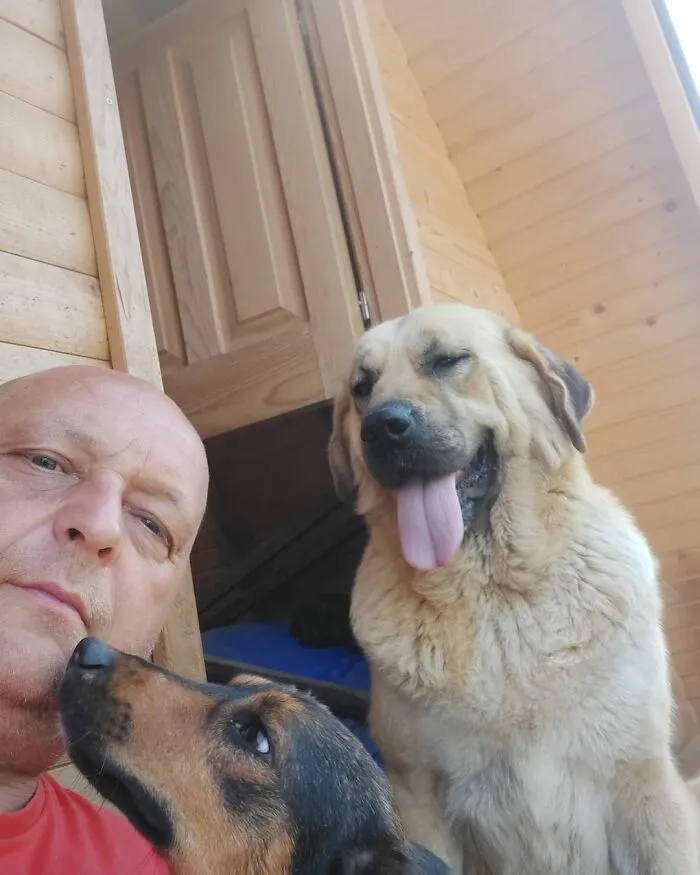Serbian Man Started A Shelter With His Mother Over 20 Years Ago, Now He's Taking Care Of More Than A Thousand Dogs