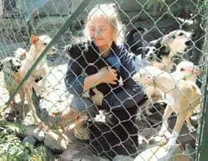 Serbian Man Started A Shelter With His Mother Over 20 Years Ago, Now He's Taking Care Of More Than A Thousand Dogs