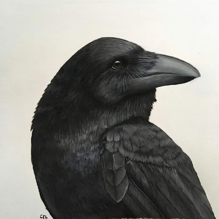 My Daughter Creates Hyper-Realistic Animal Portraits (30 Pics)