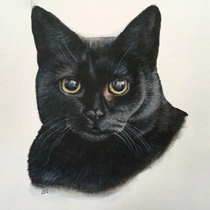My Daughter Creates Hyper-Realistic Animal Portraits (30 Pics)