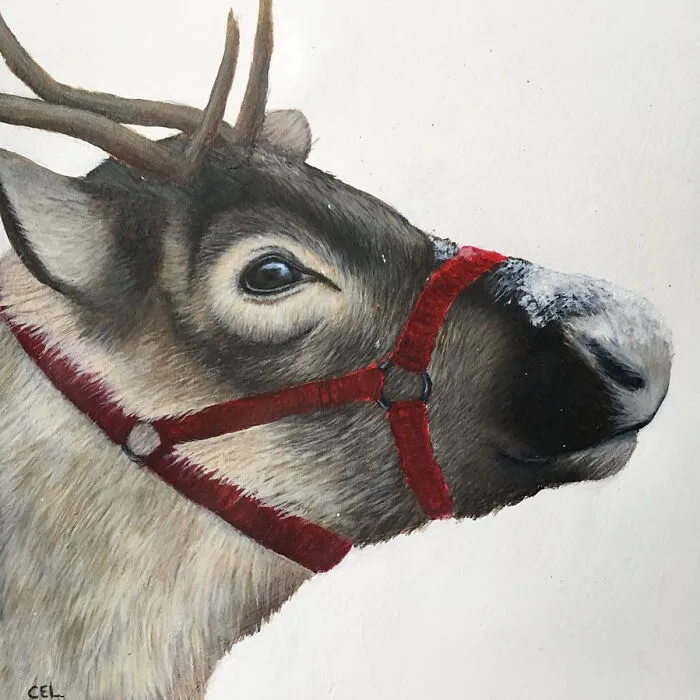 My Daughter Creates Hyper-Realistic Animal Portraits (30 Pics)