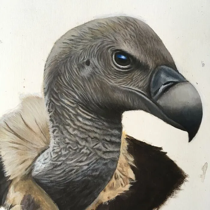 My Daughter Creates Hyper-Realistic Animal Portraits (30 Pics)