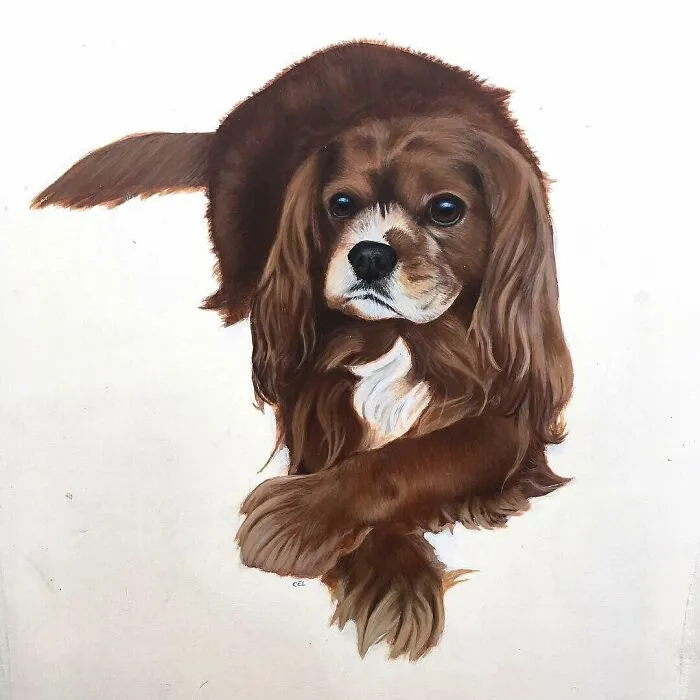 My Daughter Creates Hyper-Realistic Animal Portraits (30 Pics)