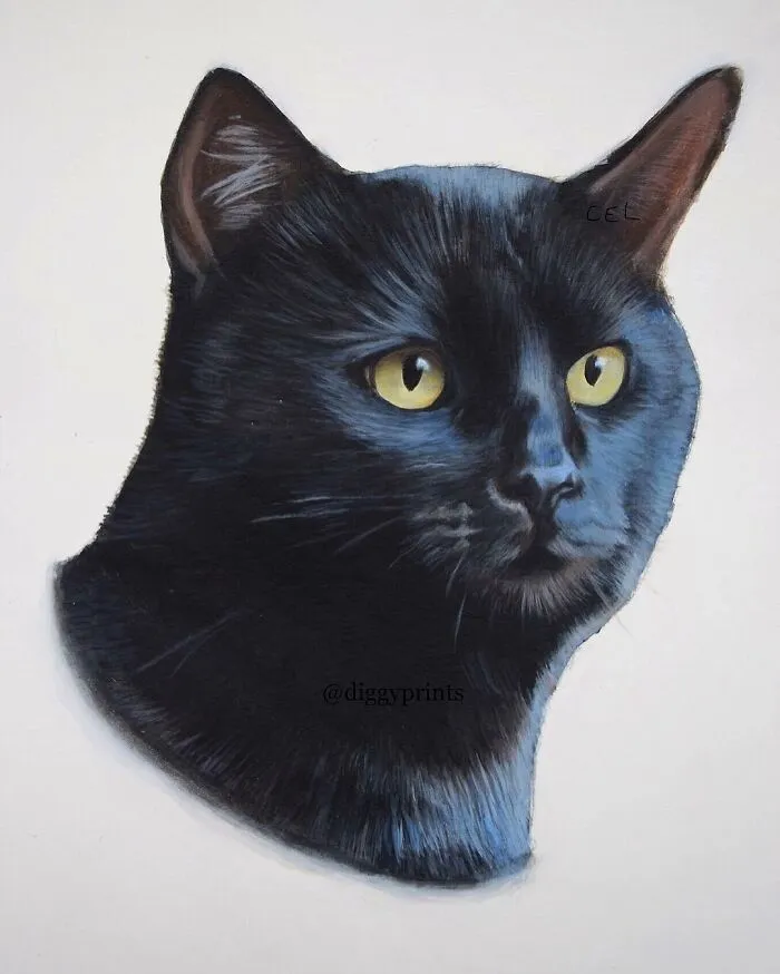 My Daughter Creates Hyper-Realistic Animal Portraits (30 Pics)