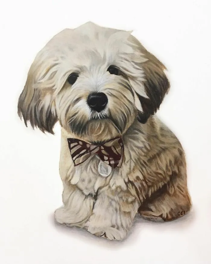 My Daughter Creates Hyper-Realistic Animal Portraits (30 Pics)