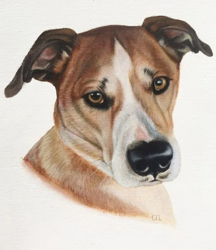 My Daughter Creates Hyper-Realistic Animal Portraits (30 Pics)