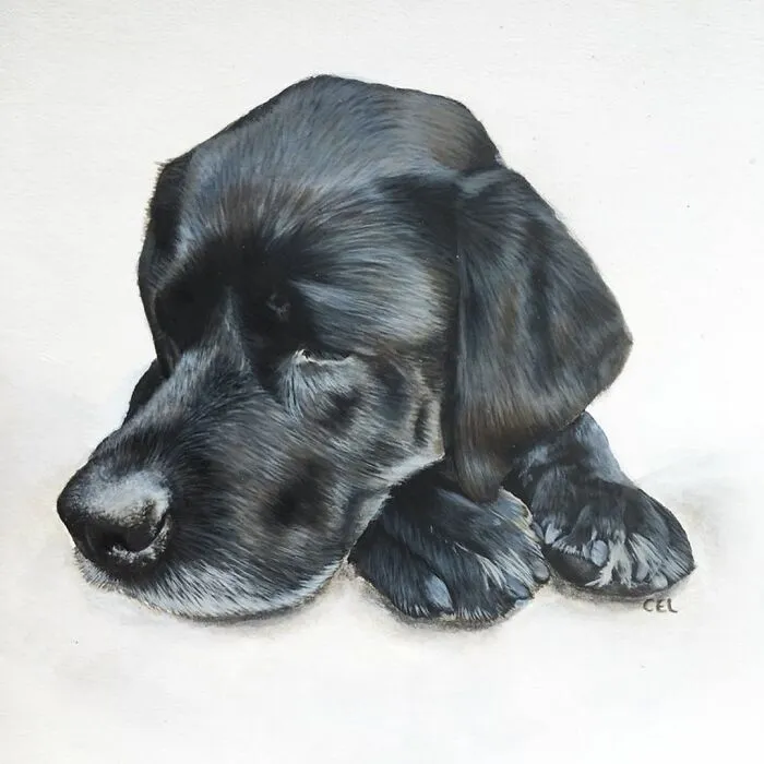 My Daughter Creates Hyper-Realistic Animal Portraits (30 Pics)