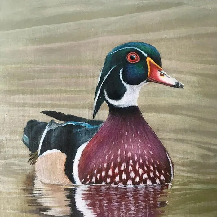 My Daughter Creates Hyper-Realistic Animal Portraits (30 Pics)