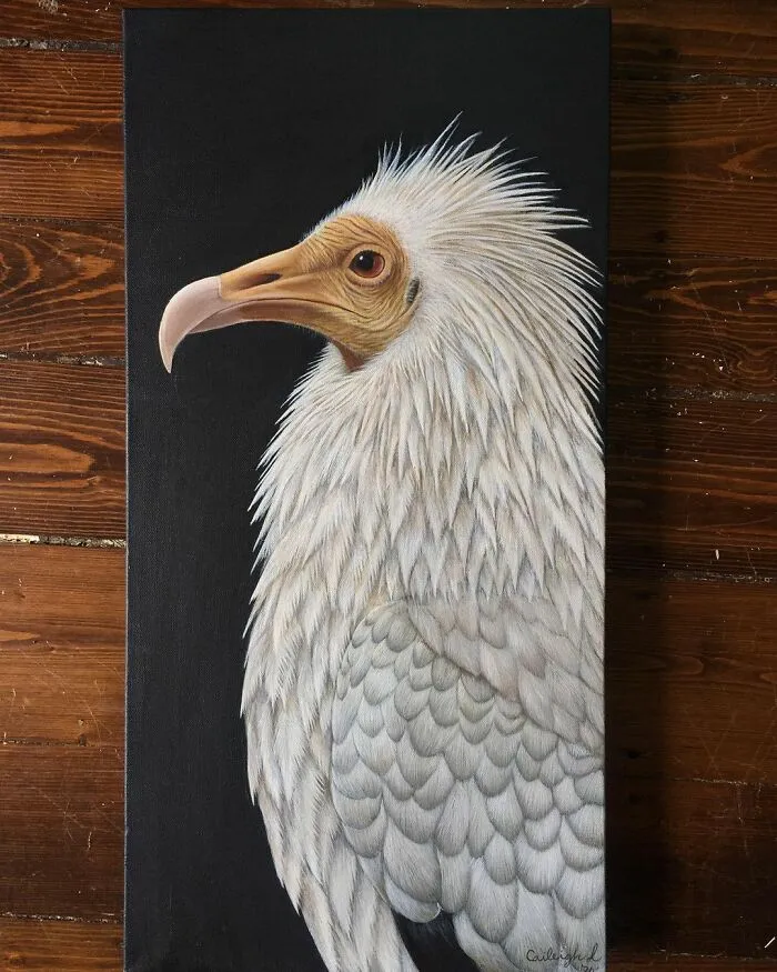 My Daughter Creates Hyper-Realistic Animal Portraits (30 Pics)
