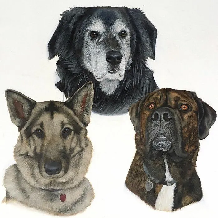 My Daughter Creates Hyper-Realistic Animal Portraits (30 Pics)