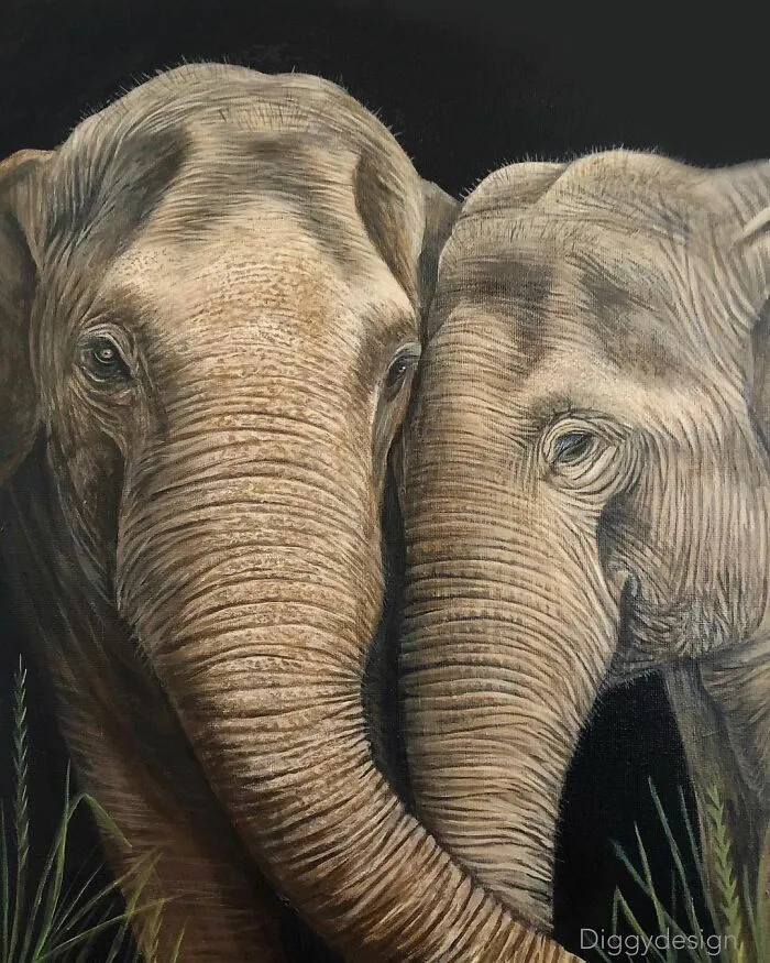 My Daughter Creates Hyper-Realistic Animal Portraits (30 Pics)