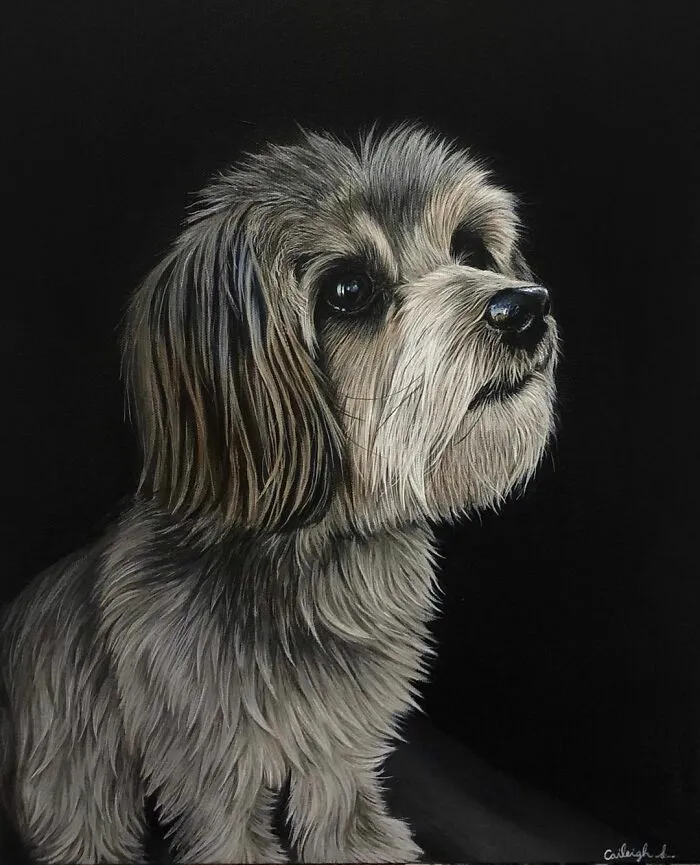 My Daughter Creates Hyper-Realistic Animal Portraits (30 Pics)