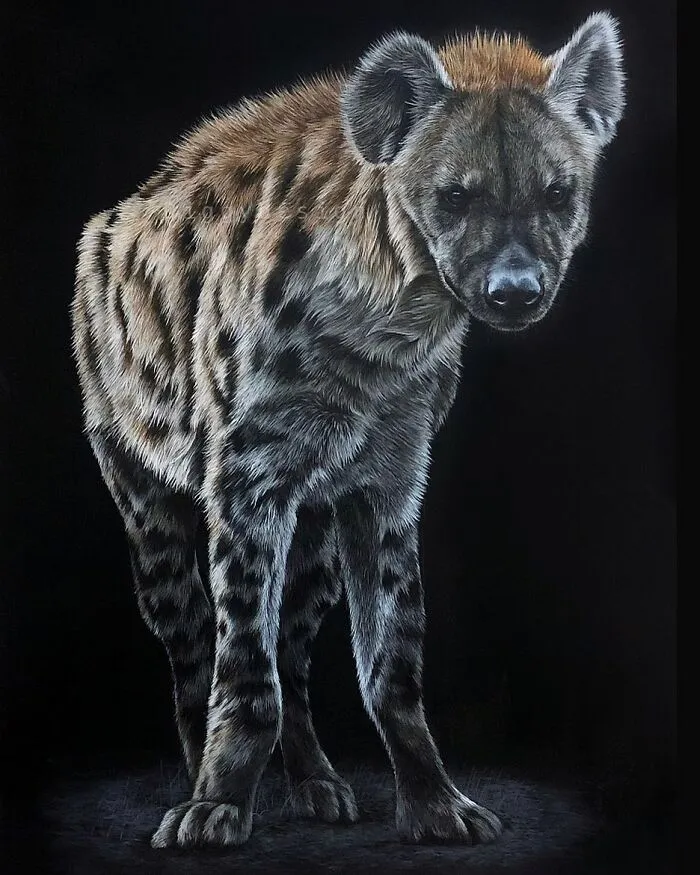 My Daughter Creates Hyper-Realistic Animal Portraits (30 Pics)