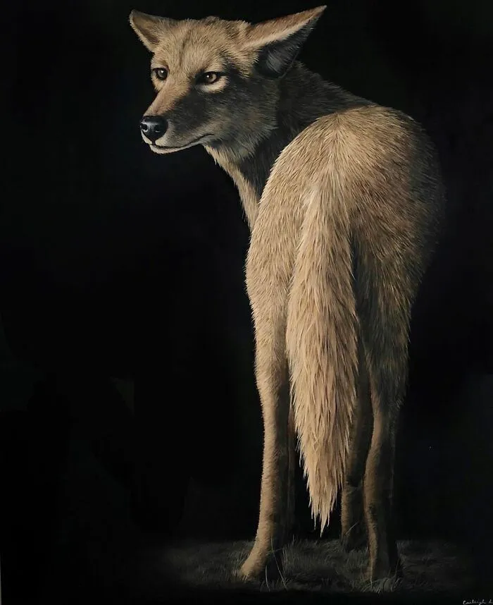 My Daughter Creates Hyper-Realistic Animal Portraits (30 Pics)