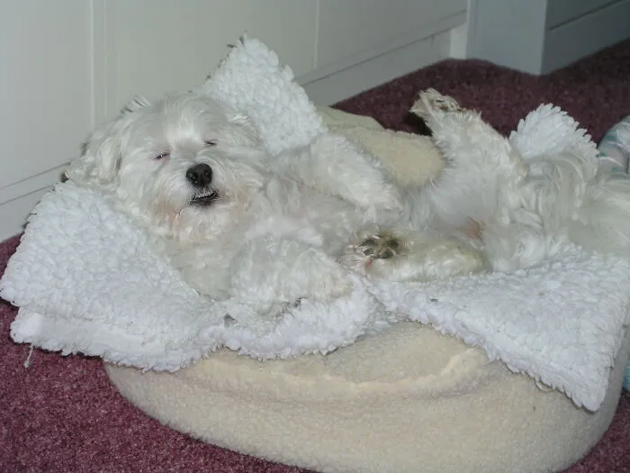 Snoring