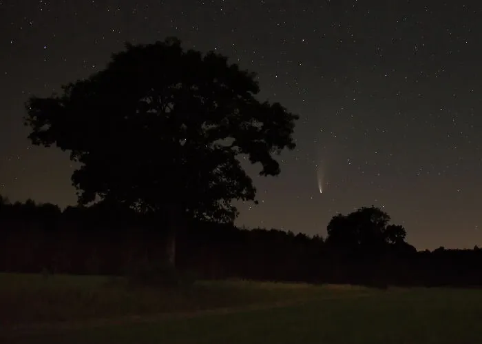 Comet Neowise