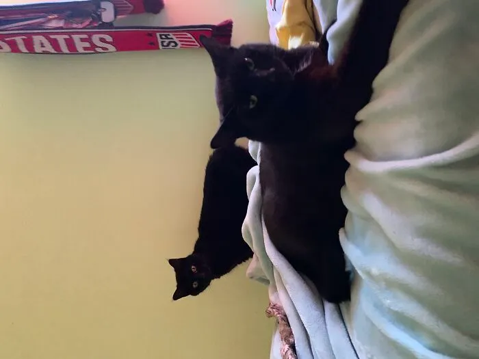 Jazzy (L) And Sassy (R)