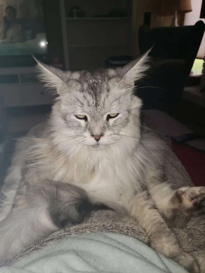 Grumpy But Gorgeous