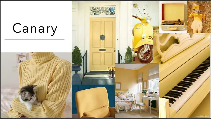 Canary