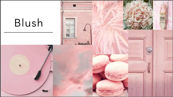 Blush