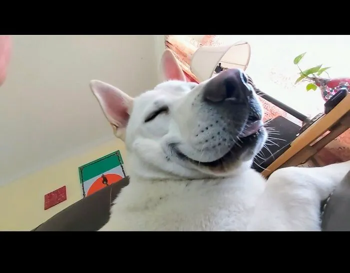 The Good Life...with Air Conditioning!