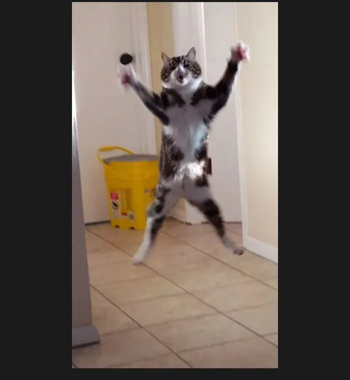 Orbits Doing Jumping Jacks