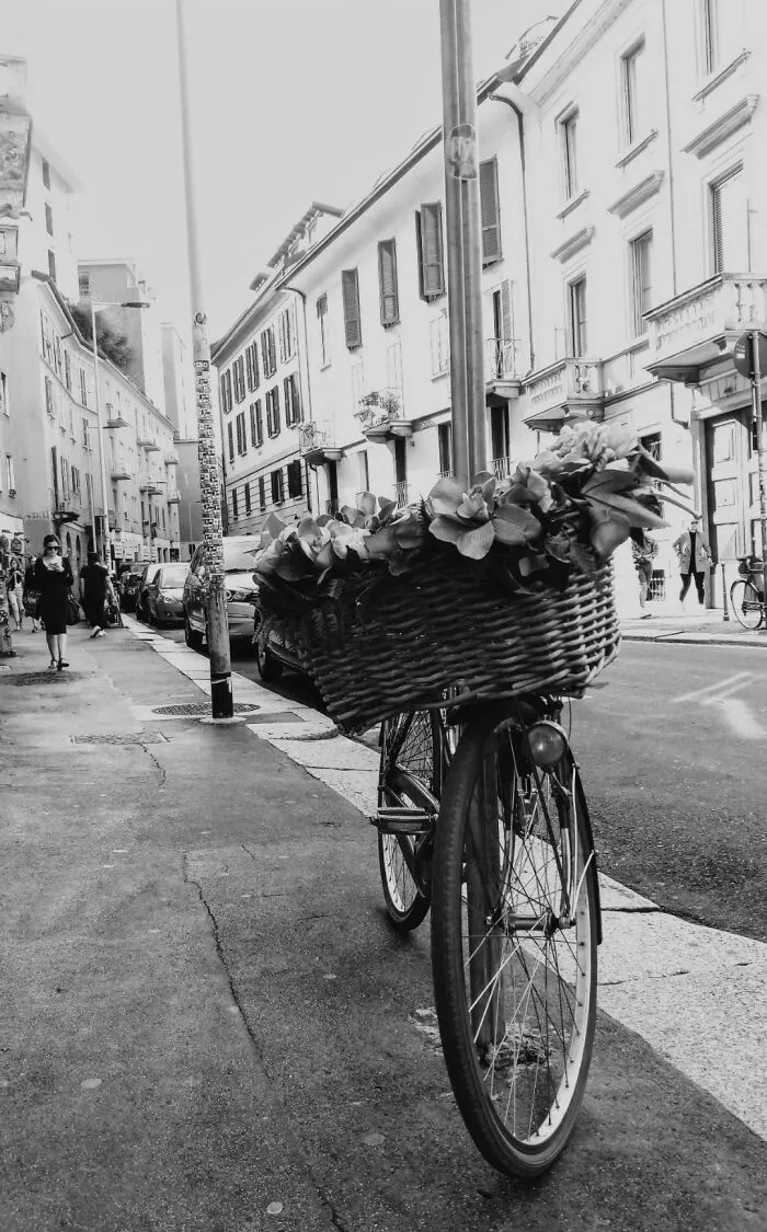 A Peaceful Day In Milan
