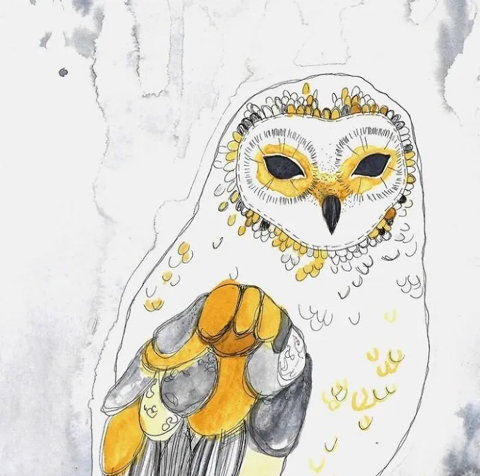 Owl