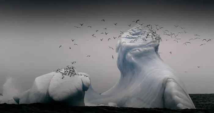 Nature – Best Entry By Andreas Wolden. Isfjell