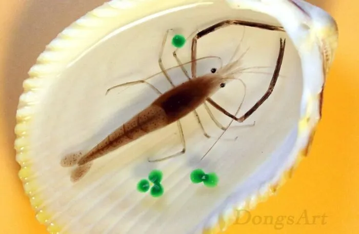 30 Beautiful And Detailed Paintings In Resin By This Artist