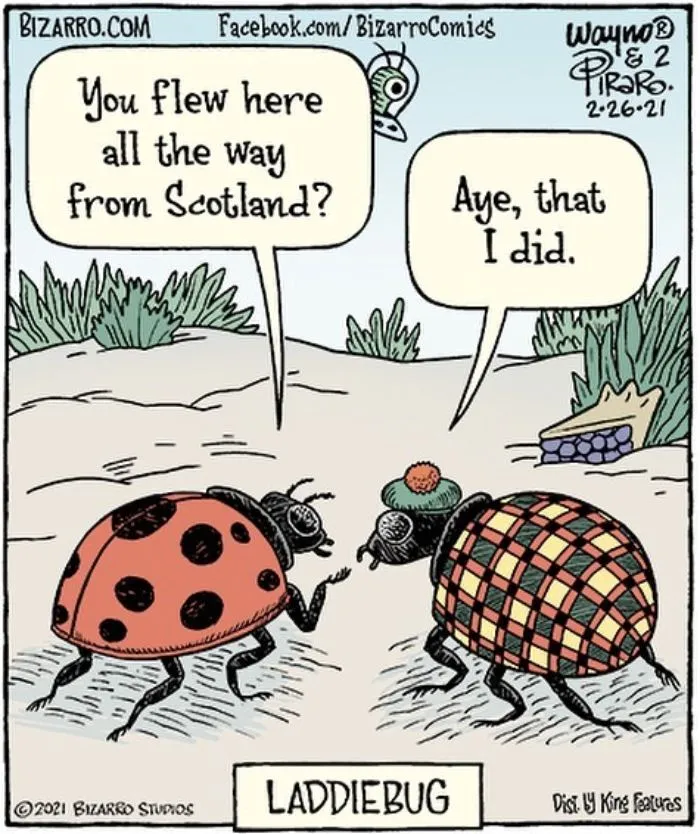 Artist Illustrates Bizarre And Absurd Situations In 50 Funny Comics (New Pics)