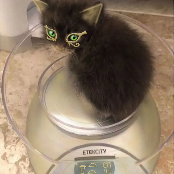 Smol Bastet
