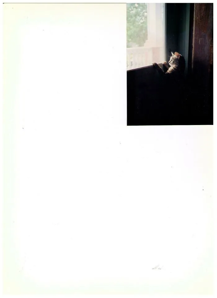 Gone Many Years Now, My Lovely Zosia's First Look At The Outside From The Door.