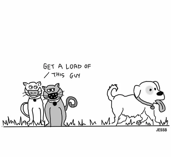 It's A Dog's World