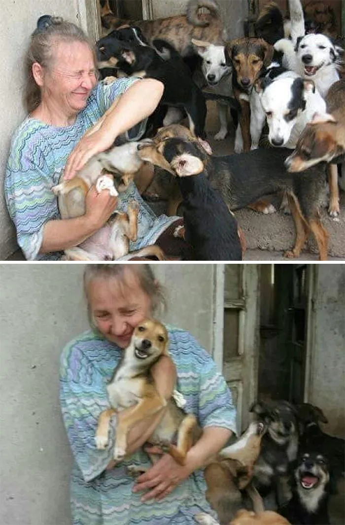 Serbian Man Started A Shelter With His Mother Over 20 Years Ago, Now He's Taking Care Of More Than A Thousand Dogs